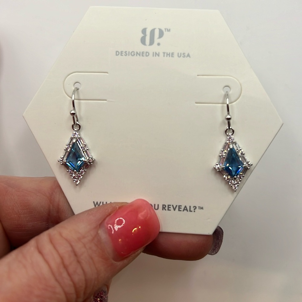NWT- beautiful earrings